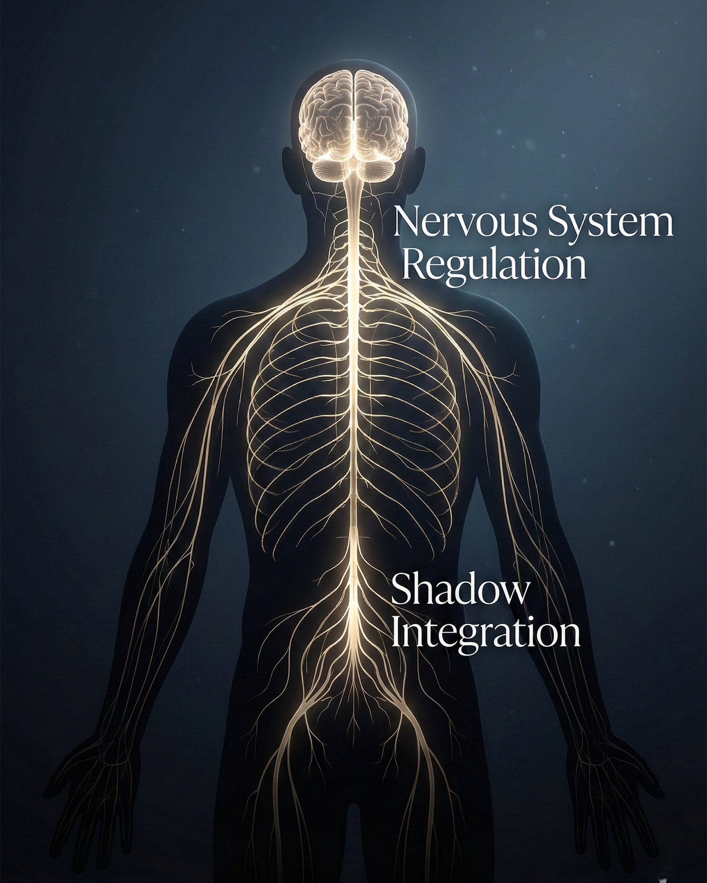 Natural Black Obsidian Bracelet — Energetic Boundary & Deep Protection (10/12/14/16mm)